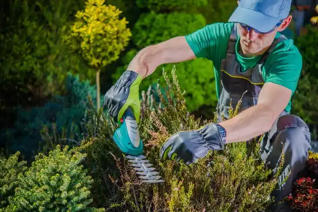 landscaping services Rineyville